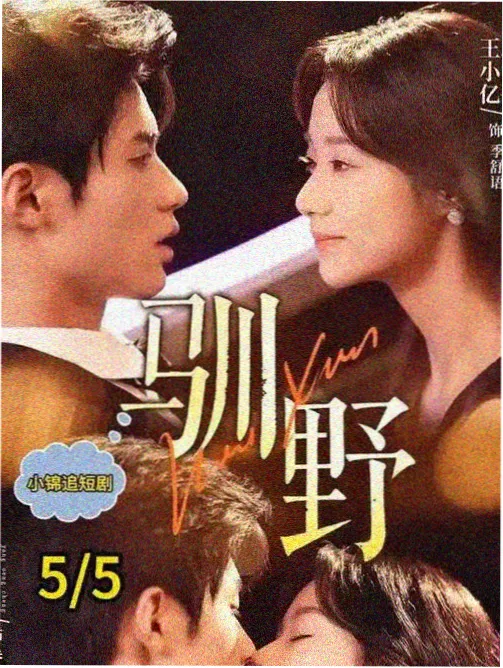 剧集潮汐档案作品库封面